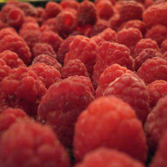 Raspberry pour les nuls