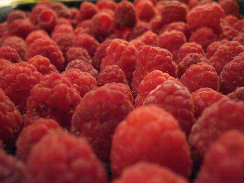 Raspberry pour les nuls