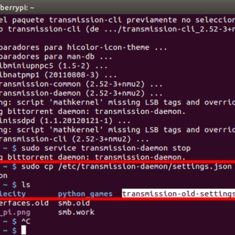 como instalar y configurar transmission-daemon en la Raspberry Pi