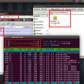 rendimiento raspberry pi como servidor torrents