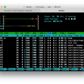 HypriotOS htop-1-webserver