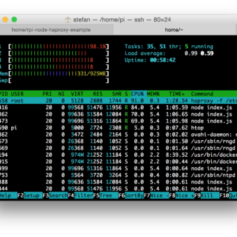 HypriotOS htop-3-webserver-haproxy