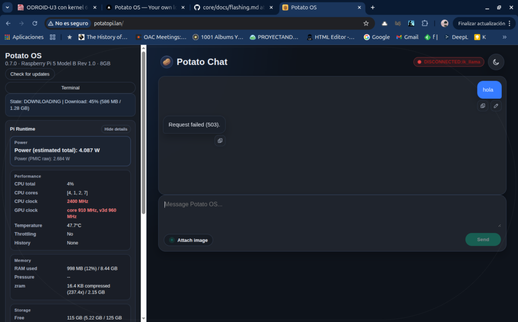 Estado DOWNLOADING al 45% con error 503 en el chat
