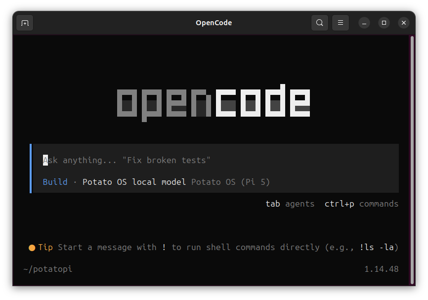 OpenCode con "Build · Potato OS local model · Potato OS (Pi 5)"
