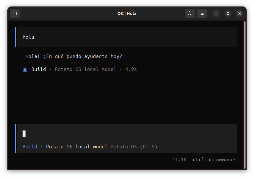OpenCode respondiendo "¡Hola! ¿En qué puedo ayudarte hoy?" en 4.9s