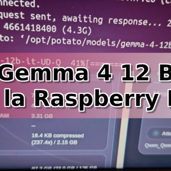 gemma-4-12b-raspberry pi 5